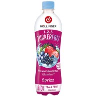 NAPÓJ GAZOWANY O SMAKU OWOCÓW LEŚNYCH BEZ CUKRU BIO 500 ml - HOLLINGER