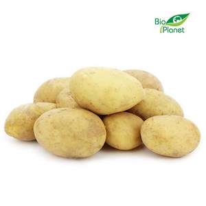 ZIEMNIAKI MŁODE ŚWIEŻE BIO (około 2,00 kg)