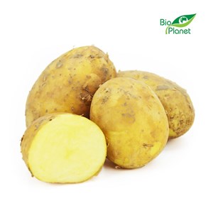 ZIEMNIAKI ŻÓŁTE MŁODE ŚWIEŻE BIO (POLSKA) (około 2,00 kg)