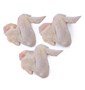SKRZYDŁO Z KURCZAKA SUROWE BIO (około 0,5 kg) - WIELKOPOLSKI KURCZAK (NA ZAMÓWIENIE)