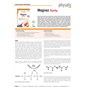 MAGNEZ FORTE 60 TABLETEK - PHYSALIS