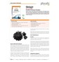 SHILAJIT (500 mg) 30 TABLETEK - PHYSALIS