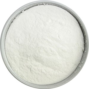 INULINA (BŁONNIK Z AGAWY) BIO (SUROWIEC) (20 kg)