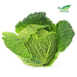 KAPUSTA WŁOSKA ŚWIEŻA BIO (około 0,80 kg)