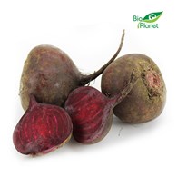 BURAK CZERWONY ŚWIEŻY BIO (około 1,00 kg)