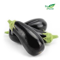 OPAKOWANIE ZBIORCZE (kg) - BAKŁAŻAN ŚWIEŻY BIO (POLSKA) (około 5 kg)