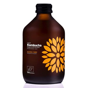 KOMBUCHA Z ACEROLĄ I IMBIREM BEZGLUTENOWA BIO 330 ml - VIGO