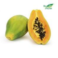 OPAKOWANIE ZBIORCZE (szt) - PAPAJA ŚWIEŻA BIO (około 7 sztuk)