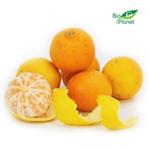 OPAKOWANIE ZBIORCZE (kg) - KLEMENTYNKI ŚWIEŻE BIO (około 15 kg)