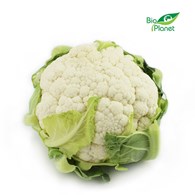 KALAFIOR ŚWIEŻY BIO (około 0,75 kg)