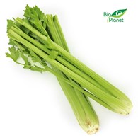 OPAKOWANIE ZBIORCZE (szt) - SELER NACIOWY ŚWIEŻY BIO (około 8 sztuk)
