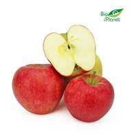OPAKOWANIE ZBIORCZE (kg) - JABŁKA ŚWIEŻE BIO (GLOSTER - POLSKA) (około 13 kg)